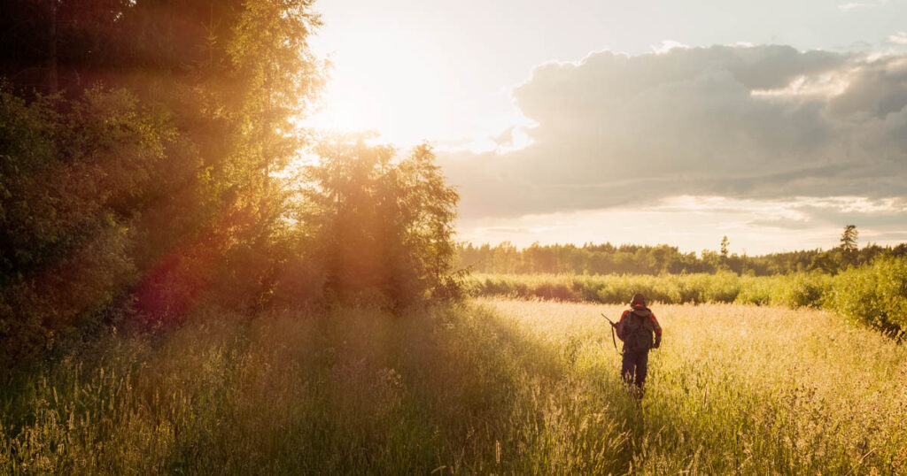 hunter walking into filed at sunrise