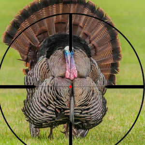 Turkey in crosshairs