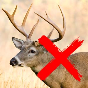 White-tailed buck with red x over it.